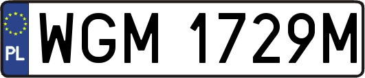 WGM1729M