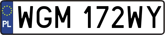 WGM172WY