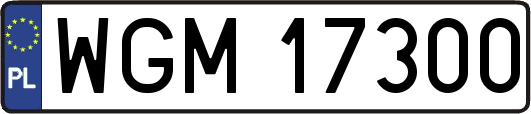 WGM17300