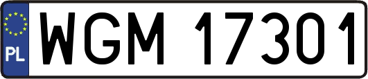 WGM17301