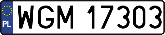 WGM17303