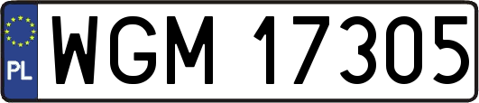 WGM17305