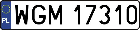 WGM17310