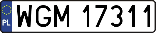 WGM17311
