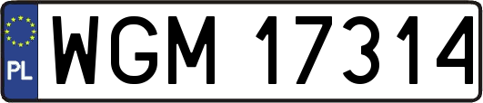 WGM17314