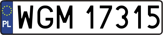 WGM17315