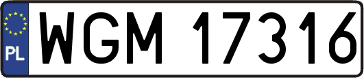 WGM17316