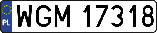 WGM17318