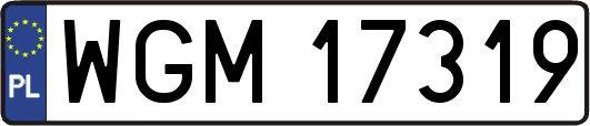 WGM17319