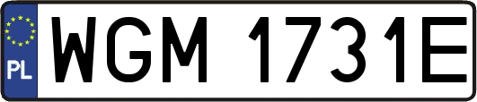 WGM1731E