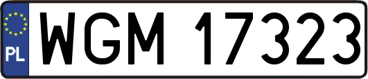 WGM17323