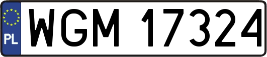 WGM17324