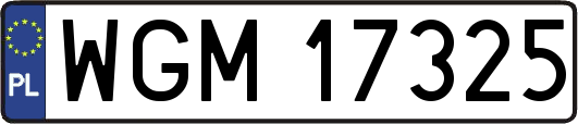 WGM17325