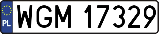 WGM17329