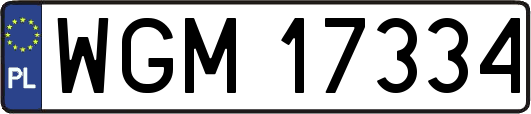 WGM17334