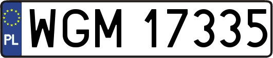 WGM17335