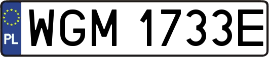 WGM1733E