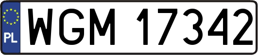 WGM17342