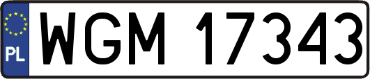 WGM17343