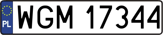 WGM17344