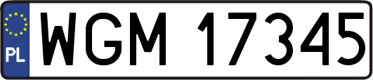 WGM17345