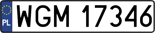 WGM17346