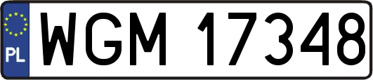 WGM17348