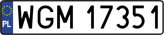 WGM17351