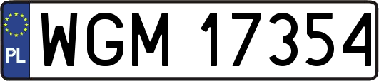 WGM17354
