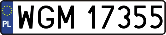 WGM17355