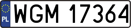WGM17364