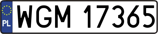 WGM17365