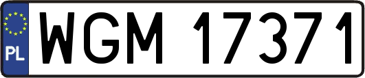 WGM17371