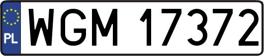 WGM17372