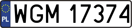WGM17374