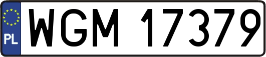 WGM17379