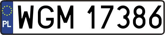 WGM17386