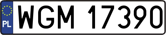 WGM17390