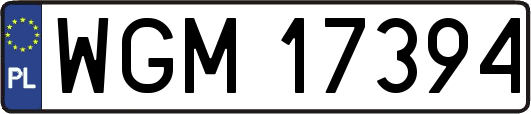 WGM17394