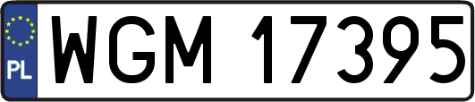 WGM17395
