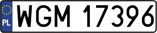 WGM17396