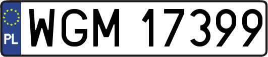 WGM17399