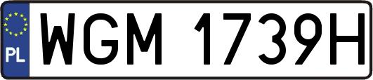 WGM1739H