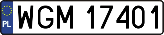 WGM17401