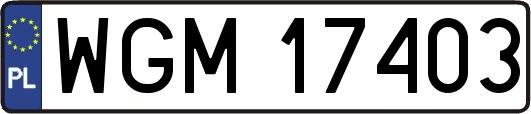 WGM17403