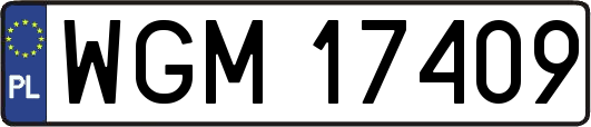 WGM17409