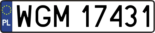 WGM17431
