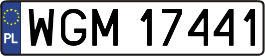 WGM17441
