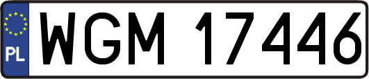 WGM17446