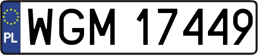 WGM17449